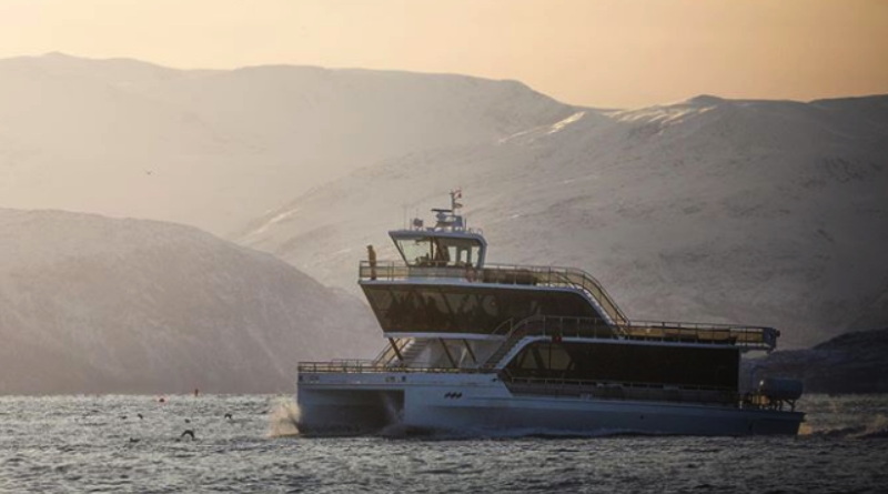 Arctic eco-cruiser sails in misty fjord with mountains in background