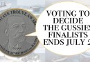 Vote in The Gussies Electric Boat Awards – Round 1