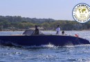 Monaco electric boat earns prestigious environment solution label