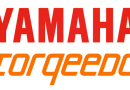 Yamaha buys Torqeedo